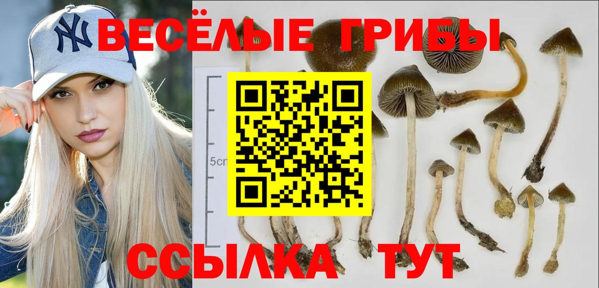 Галлюциногенные грибы Cubensis  Вход с VPN  Нурлат 