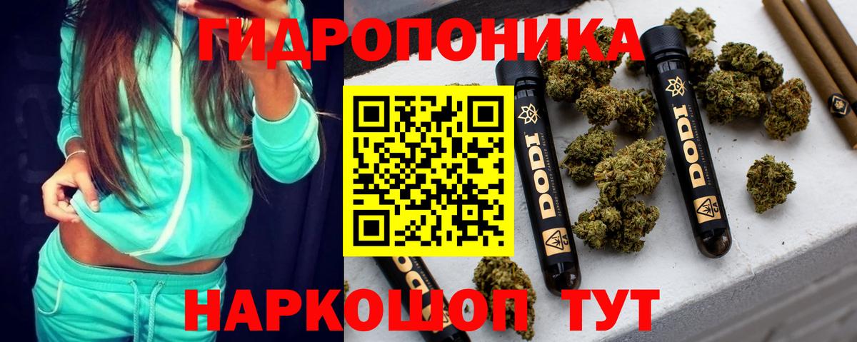 Шишки марихуана White Widow Нурлат